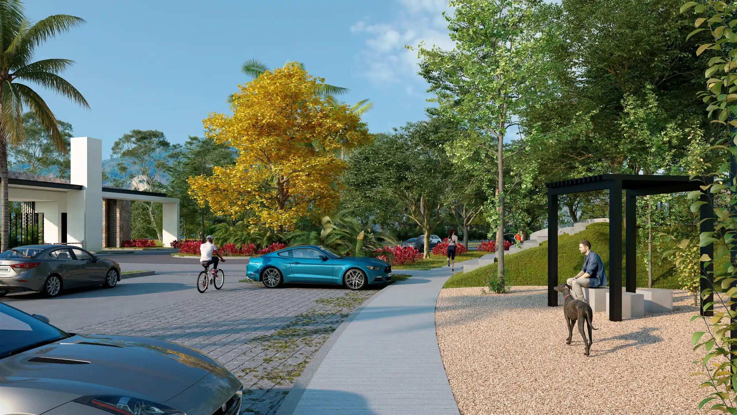 3. ANDARA - ANDADOR LOMA