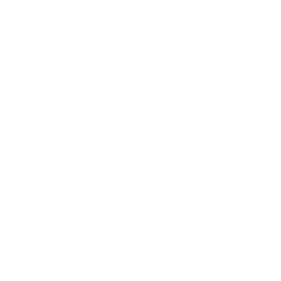 Open_skies_logotipo-01